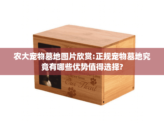 农大宠物墓地图片欣赏:正规宠物墓地究竟有哪些优势值得选择?