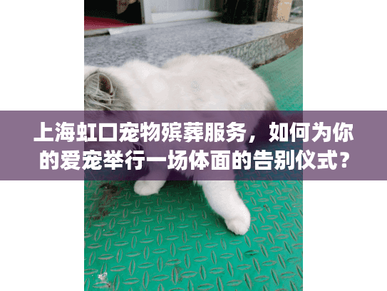 上海虹口宠物殡葬服务，如何为你的爱宠举行一场体面的告别仪式？