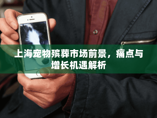 上海宠物殡葬市场前景，痛点与增长机遇解析