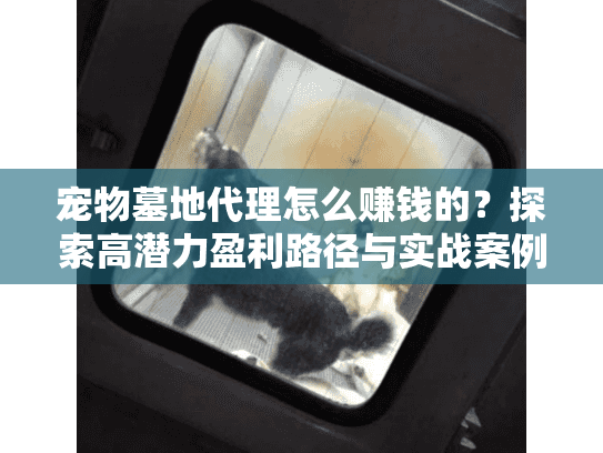 宠物墓地代理怎么赚钱的？探索高潜力盈利路径与实战案例
