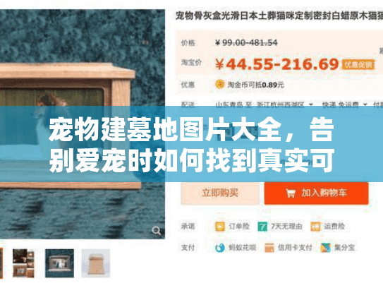 宠物建墓地图片大全,告别爱宠时如何找到真实可信的参考图 宠物建墓地图片大全,告别爱宠时如何找到真实可信的参考图