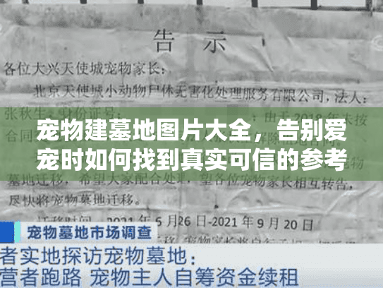 宠物建墓地图片大全,告别爱宠时如何找到真实可信的参考图 宠物建墓地图片大全,告别爱宠时如何找到真实可信的参考图