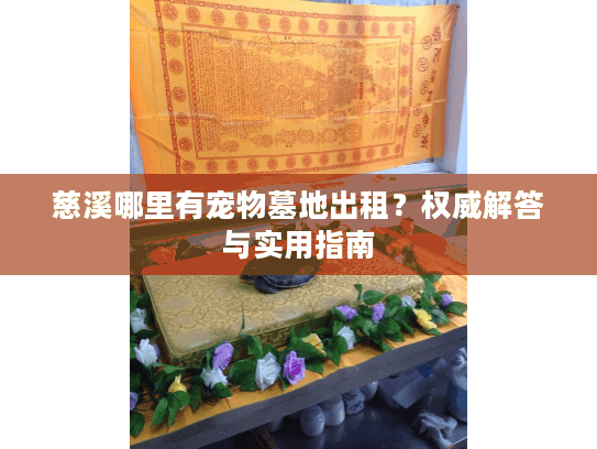 慈溪哪里有宠物墓地出租?权威解答与实用指南 慈溪哪里有宠物墓地出租?权威解答与实用指南