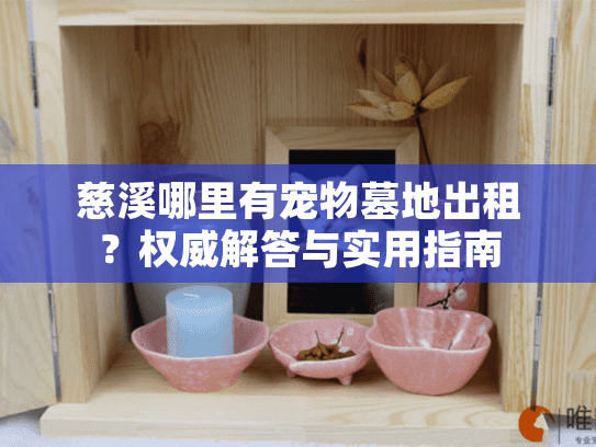 慈溪哪里有宠物墓地出租?权威解答与实用指南 慈溪哪里有宠物墓地出租?权威解答与实用指南