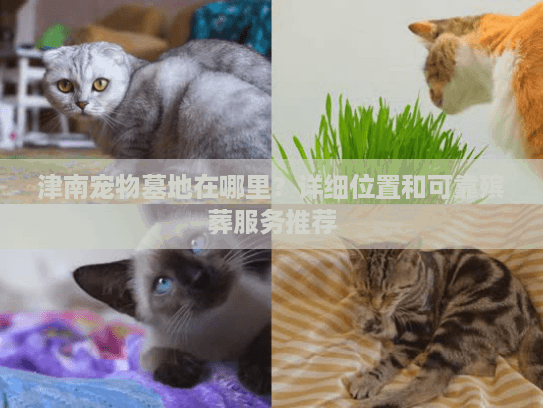 津南宠物墓地在哪里?详细位置和可靠殡葬服务推荐 津南宠物墓地在哪里?详细位置和可靠殡葬服务推荐