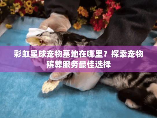 彩虹星球宠物墓地在哪里?探索宠物殡葬服务最佳选择 彩虹星球宠物墓地在哪里?探索宠物殡葬服务最佳选择