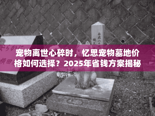 宠物离世心碎时，忆思宠物墓地价格如何选择？2025年省钱方案揭秘