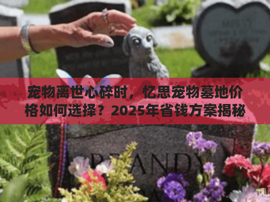 宠物离世心碎时，忆思宠物墓地价格如何选择？2025年省钱方案揭秘