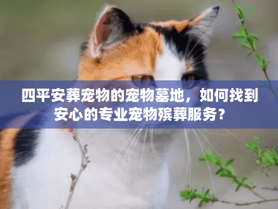 四平安葬宠物的宠物墓地,如何找到安心的专业宠物殡葬服务? 四平安葬宠物的宠物墓地,如何找到安心的专业宠物殡葬服务?