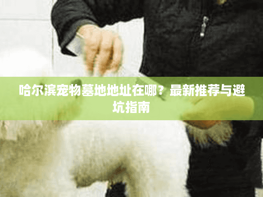 哈尔滨宠物墓地地址在哪？最新推荐与避坑指南