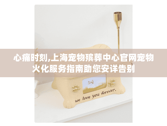 心痛时刻,上海宠物殡葬中心官网宠物火化服务指南助您安详告别