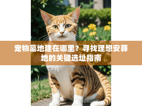 宠物墓地建在哪里？寻找理想安葬地的关键选址指南