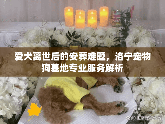 爱犬离世后的安葬难题,洛宁宠物狗墓地专业服务解析 爱犬离世后的安葬难题,洛宁宠物狗墓地专业服务解析