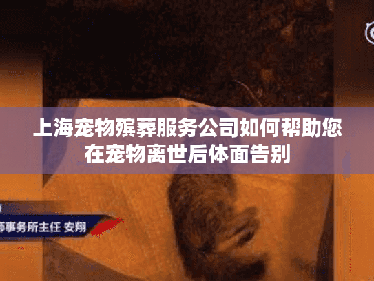 上海宠物殡葬服务公司如何帮助您在宠物离世后体面告别