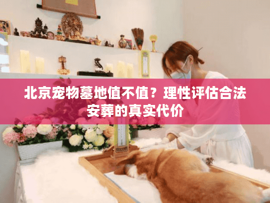 北京宠物墓地值不值？理性评估合法安葬的真实代价