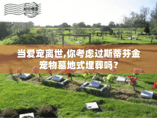 当爱宠离世,你考虑过斯蒂芬金宠物墓地式埋葬吗？