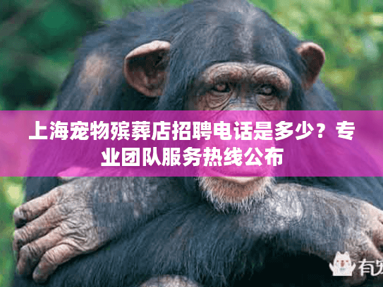 上海宠物殡葬店招聘电话是多少？专业团队服务热线公布