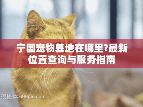 宁国宠物墓地在哪里?最新位置查询与服务指南