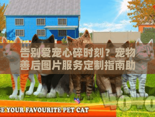 告别爱宠心碎时刻？宠物善后图片服务定制指南助你珍藏永恒回忆