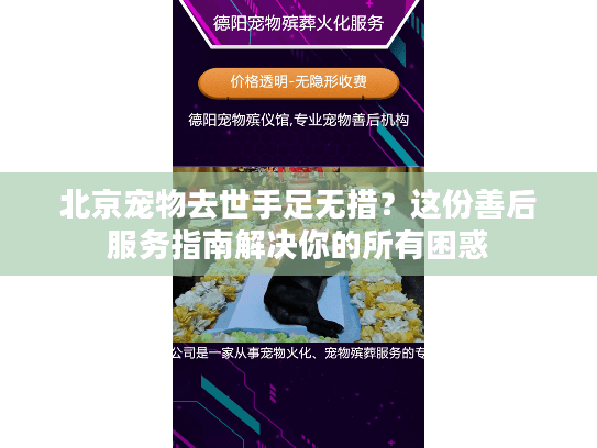 北京宠物去世手足无措？这份善后服务指南解决你的所有困惑