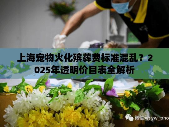 上海宠物火化殡葬费标准混乱？2025年透明价目表全解析