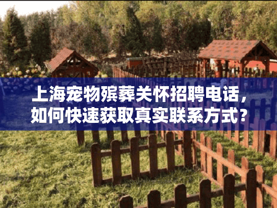 上海宠物殡葬关怀招聘电话，如何快速获取真实联系方式？