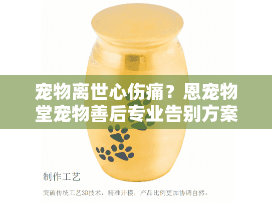 宠物离世心伤痛？恩宠物堂宠物善后专业告别方案为您解忧
