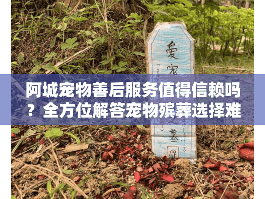阿城宠物善后服务值得信赖吗？全方位解答宠物殡葬选择难题