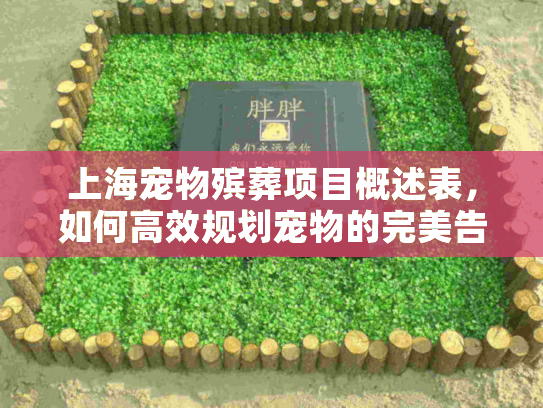 上海宠物殡葬项目概述表，如何高效规划宠物的完美告别告别方案？