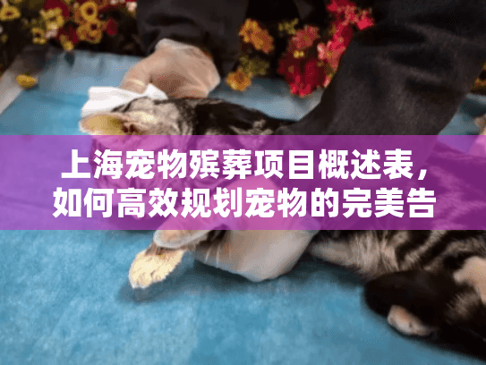 上海宠物殡葬项目概述表，如何高效规划宠物的完美告别告别方案？
