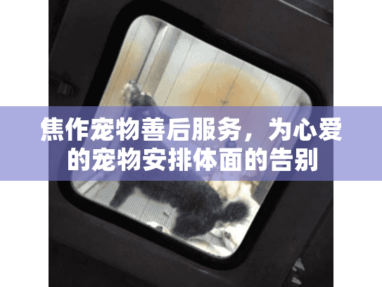 焦作宠物善后服务，为心爱的宠物安排体面的告别