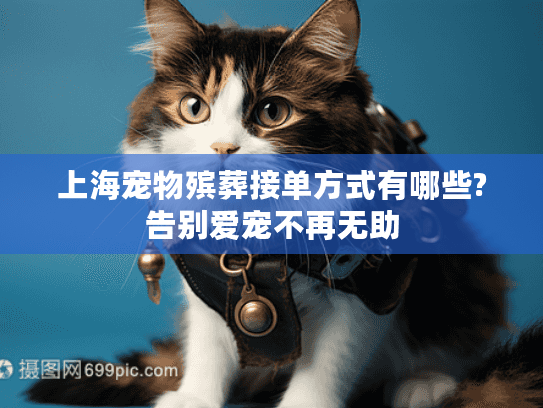 上海宠物殡葬接单方式有哪些?告别爱宠不再无助