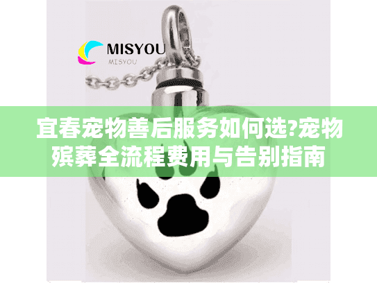 宜春宠物善后服务如何选?宠物殡葬全流程费用与告别指南