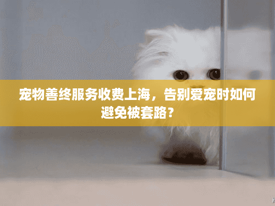 宠物善终服务收费上海，告别爱宠时如何避免被套路？