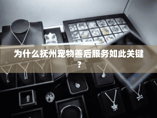 为什么抚州宠物善后服务如此关键？