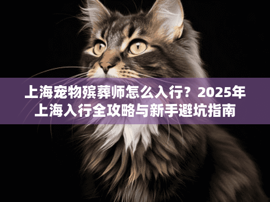 上海宠物殡葬师怎么入行？2025年上海入行全攻略与新手避坑指南
