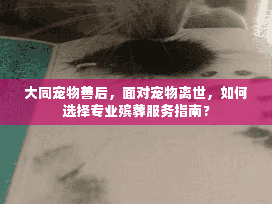 大同宠物善后，面对宠物离世，如何选择专业殡葬服务指南？
