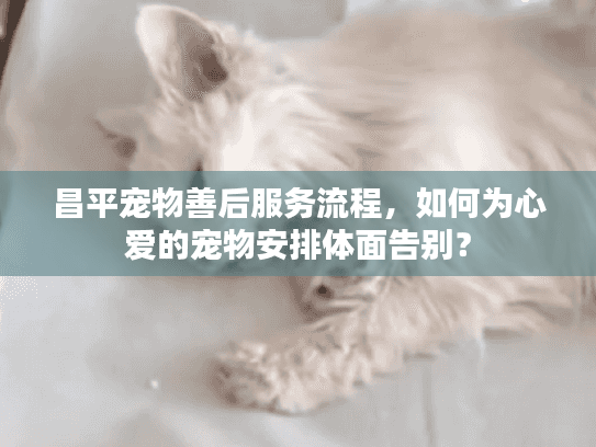 昌平宠物善后服务流程，如何为心爱的宠物安排体面告别？