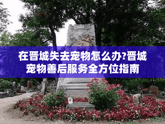在晋城失去宠物怎么办?晋城宠物善后服务全方位指南