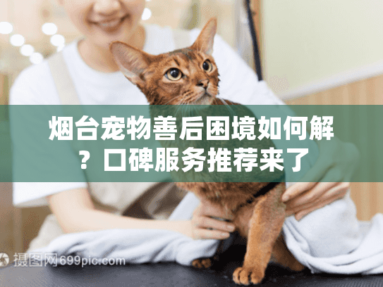 烟台宠物善后困境如何解？口碑服务推荐来了