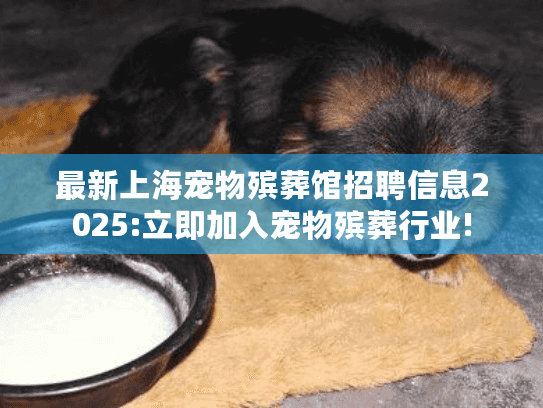 最新上海宠物殡葬馆招聘信息2025:立即加入宠物殡葬行业!