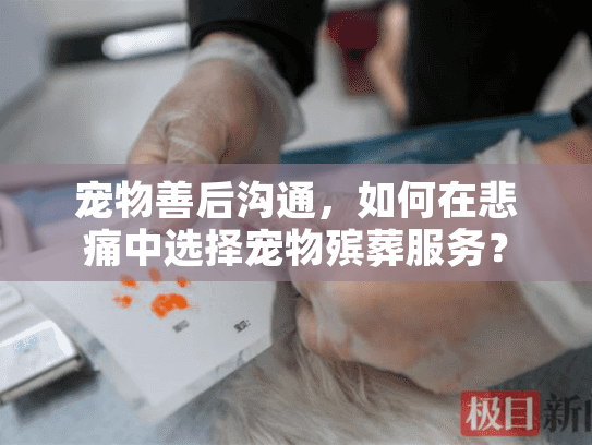 宠物善后沟通，如何在悲痛中选择宠物殡葬服务？
