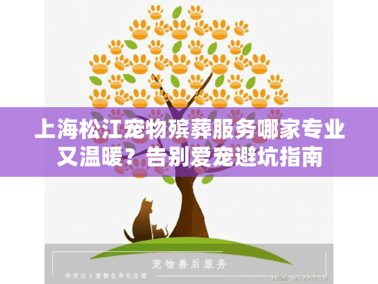 上海松江宠物殡葬服务哪家专业又温暖？告别爱宠避坑指南