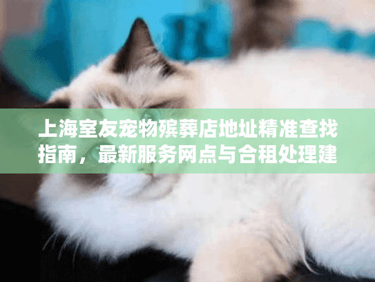 上海室友宠物殡葬店地址精准查找指南，最新服务网点与合租处理建议