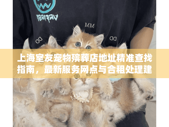 上海室友宠物殡葬店地址精准查找指南，最新服务网点与合租处理建议