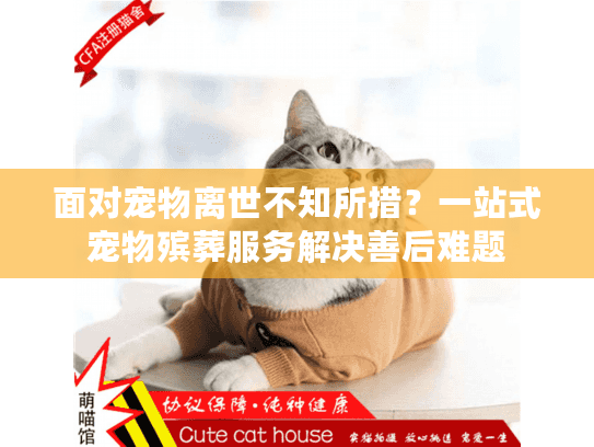 面对宠物离世不知所措？一站式宠物殡葬服务解决善后难题