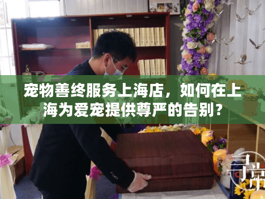 宠物善终服务上海店，如何在上海为爱宠提供尊严的告别？