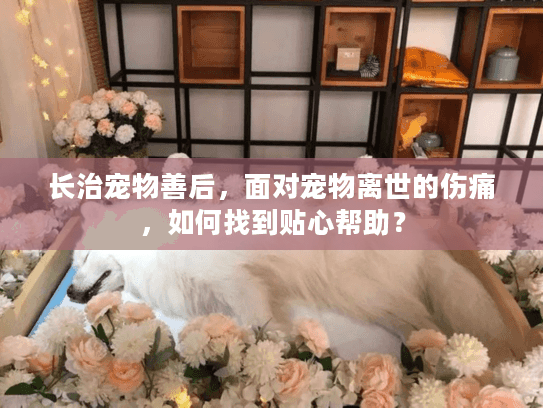 长治宠物善后，面对宠物离世的伤痛，如何找到贴心帮助？