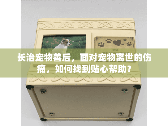 长治宠物善后，面对宠物离世的伤痛，如何找到贴心帮助？