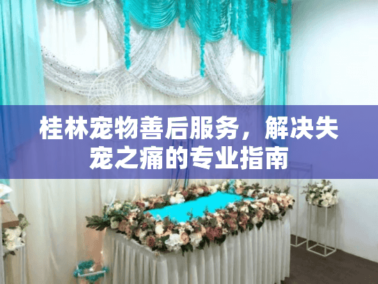 桂林宠物善后服务，解决失宠之痛的专业指南